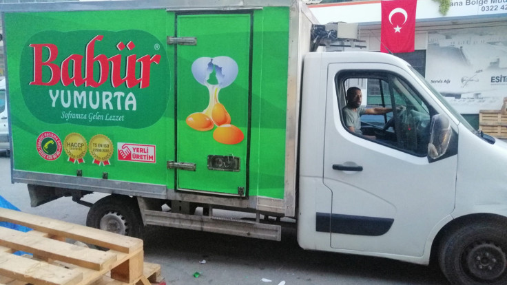 BABÜR YUMURTA